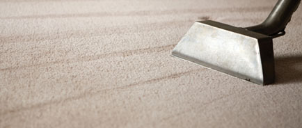 Carpet Cleaning