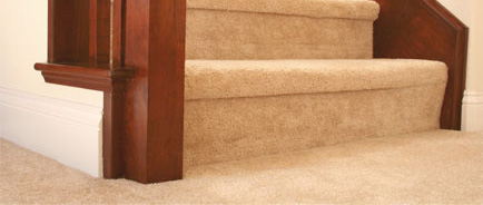 Carpet Cleaning